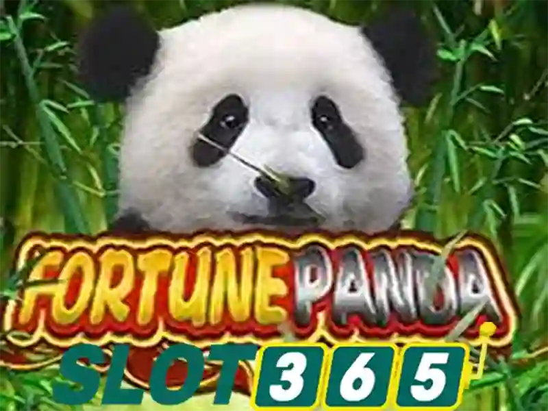 Giới thiệu Slot365