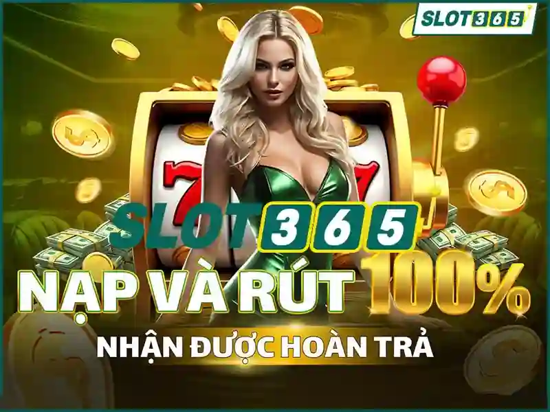 An toàn và quản lý rủi ro
