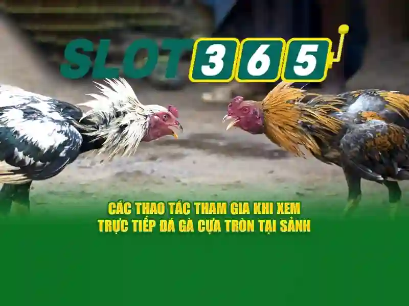 Khuyến mãi và tiền thưởng