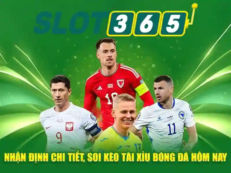 Bảo mật người chơi