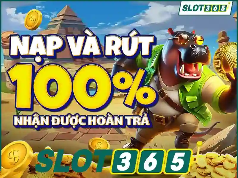 slot365 – Tổng quan chủ đề và giá trị cốt lõi