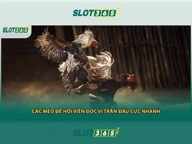 Danh sách trò chơi và tính năng
