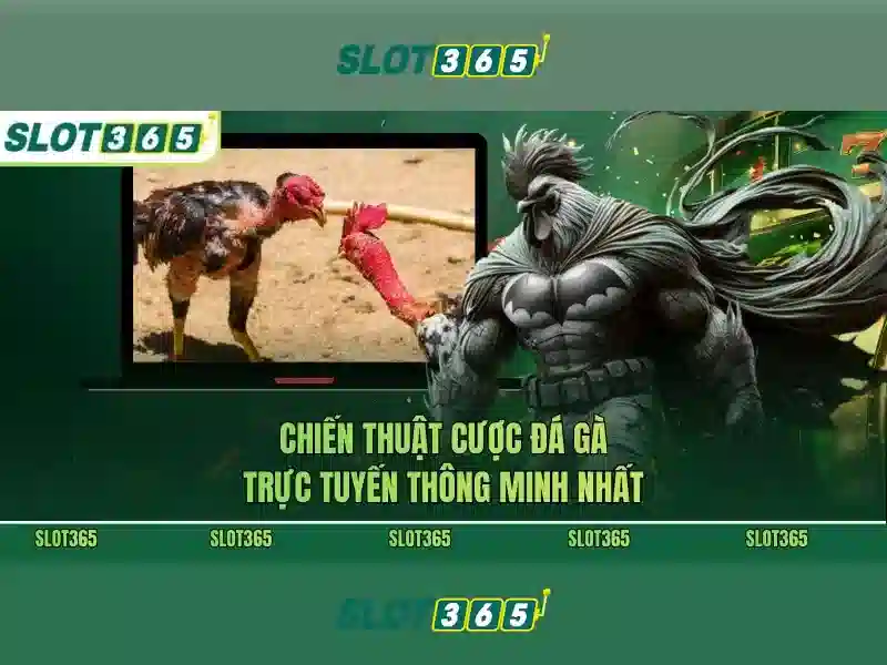 Slot365: Đánh giá và Tính năng nổi bật