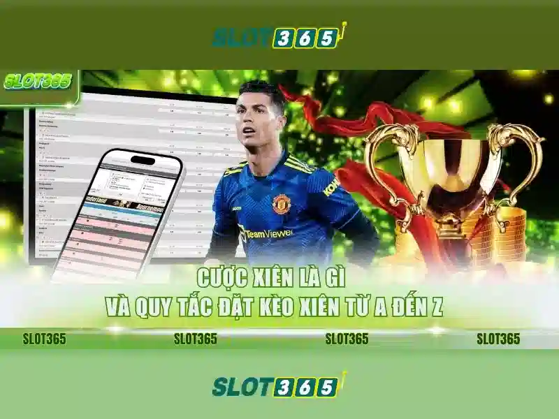 Sản phẩm và dịch vụ chính: ứng dụng tải app slot365