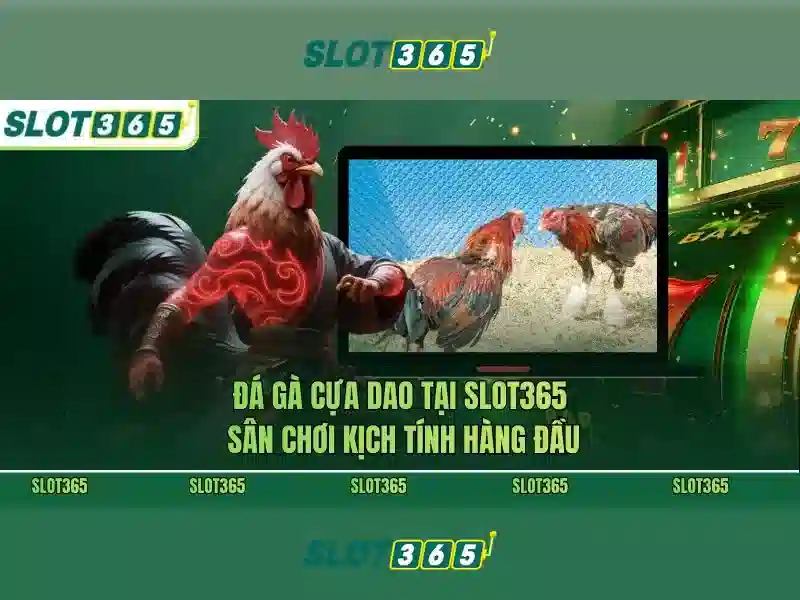 slot365 tái – Tổng quan chủ đề và giá trị
