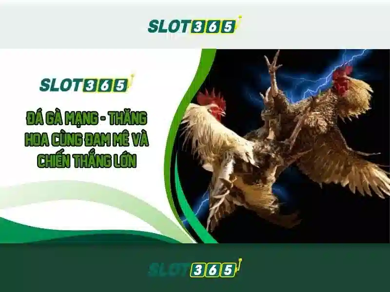 rtp slot365: Dấu ấn đột phá cho slot365 casino và poker