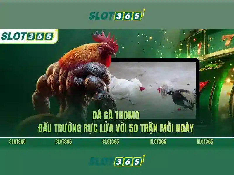 An toàn và tin cậy