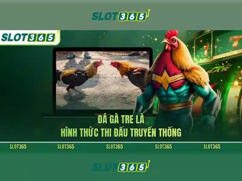Slot365 - Giới thiệu