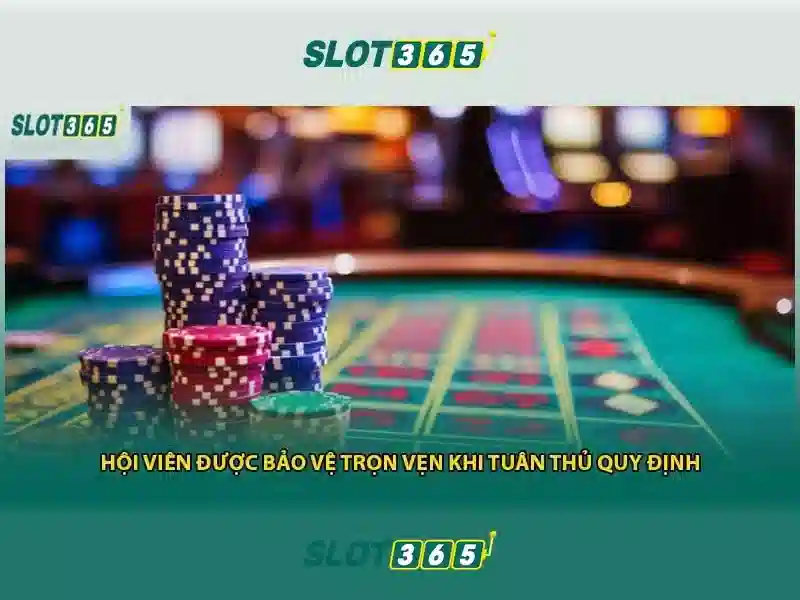 slot365-giao-dien-nguoi-dung