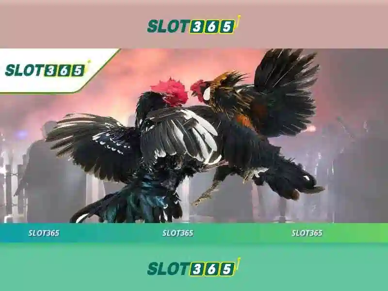 Slot365 là gì?