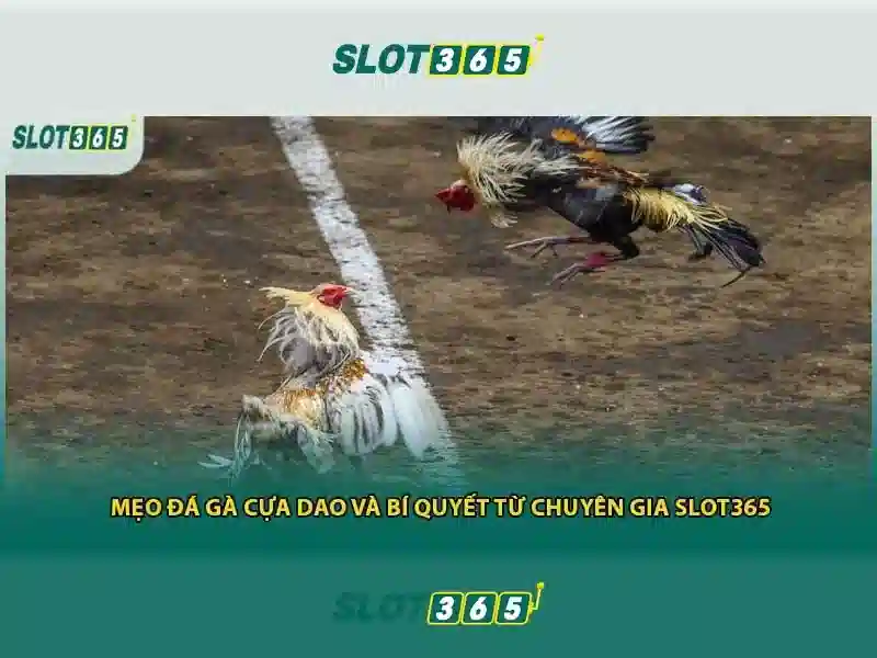 Slot365 – Nền tảng chơi slot trực tuyến uy tín và thú vị