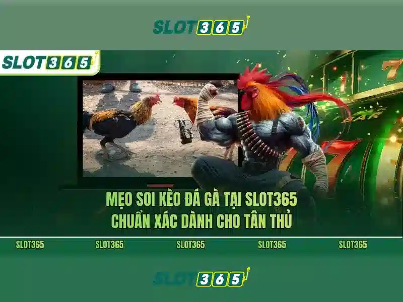 Khuyến mãi và chương trình loyalty
