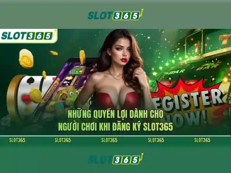 Giao diện người dùng và trải nghiệm di động