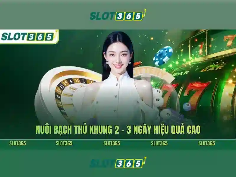 <!--IMG_PLACEHOLDER alt>Nguồn gốc từ khóa và sứ mệnh của đăng nhập Slot365-->