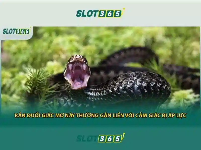 slot365 có lừa đảo không – Tổng quan chủ đề và giá trị cốt lõi