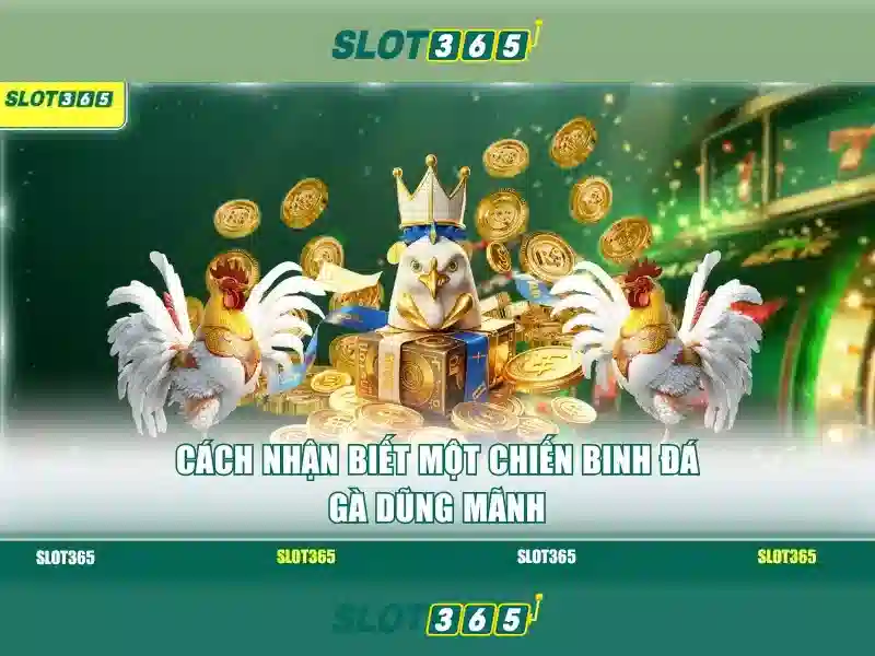 slot365: Nền tảng xèng trực tuyến an toàn và giải trí