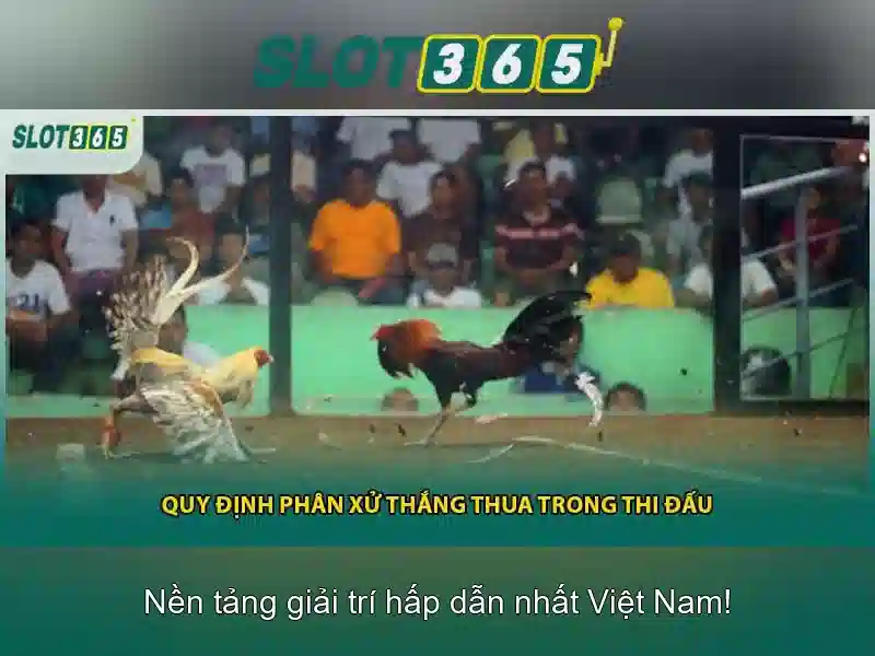 Slot365 là gì và tại sao nó nổi bật