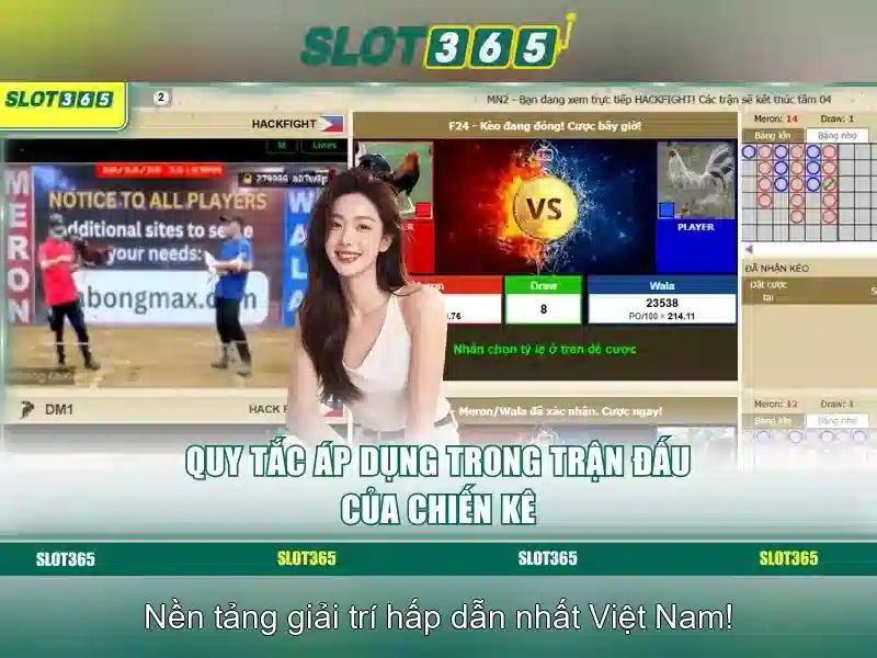 live slot365 – Tổng quan và trải nghiệm đỉnh cao