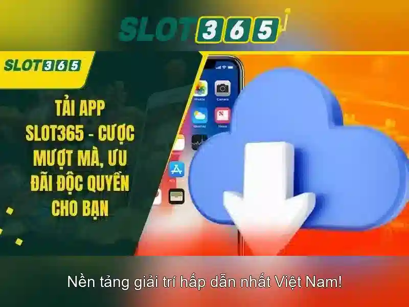 Hỗ trợ và dịch vụ khách hàng