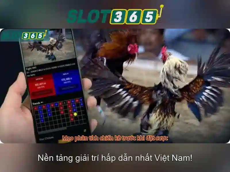 Slot365 – Nền tảng slot trực tuyến hàng đầu