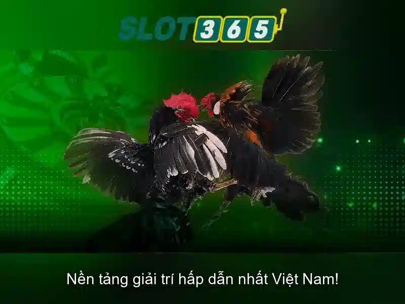 Slot365 - Giới thiệu