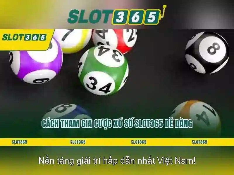 Trải nghiệm người dùng và giao diện