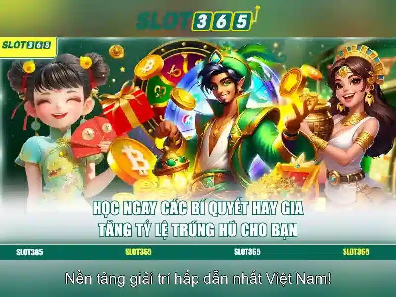 Trải nghiệm người dùng và phản hồi của cộng đồng