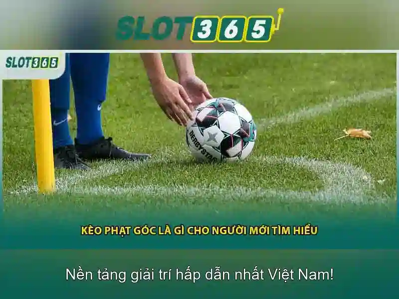 slot365 tái – phong cách hiện đại và trải nghiệm tối ưu