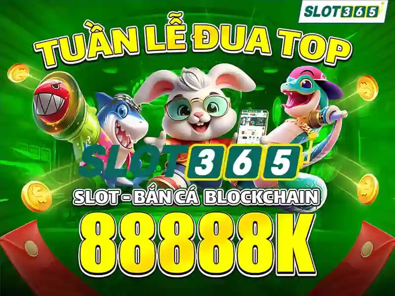 Trải nghiệm người dùng và giao diện
